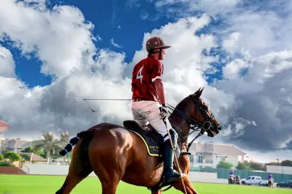 Polo
